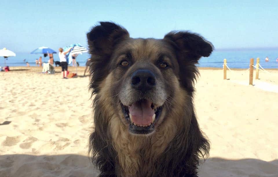 Gianbattista contento in spiaggia