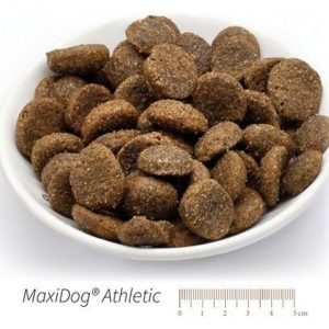MaxiDog Athletic