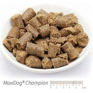 MaxiDog Champion
