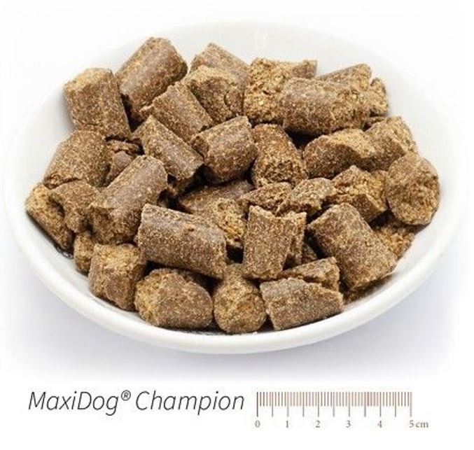 MaxiDog Champion