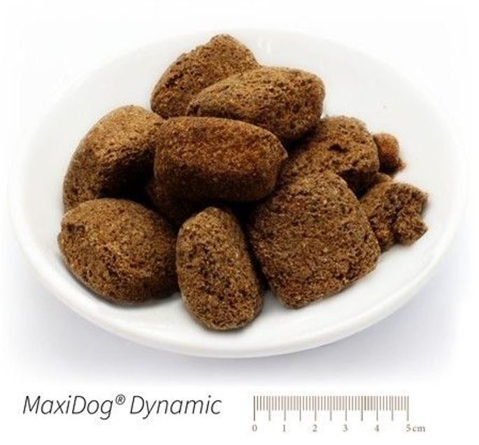 MaxiDog Dynamic