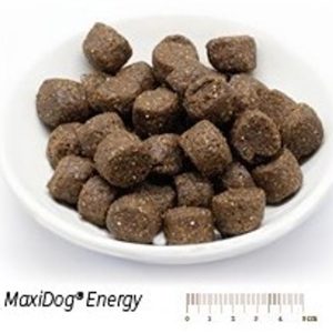 MaxiDog Energy