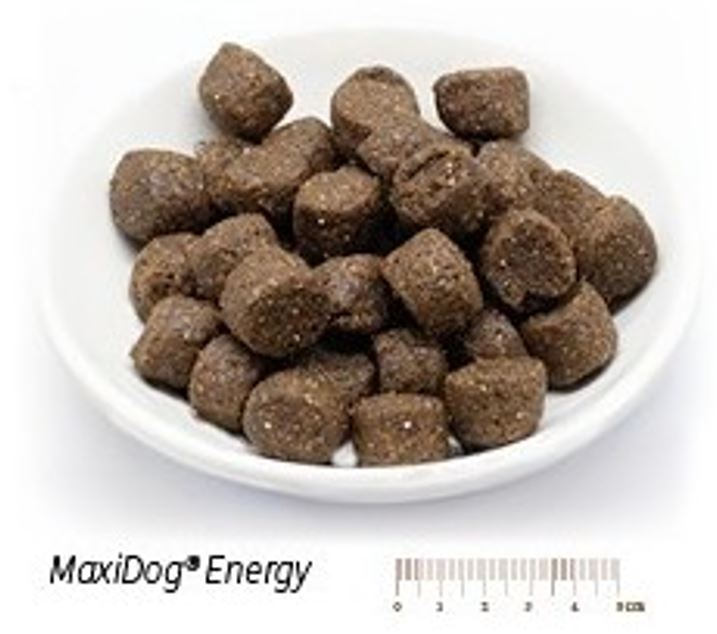 MaxiDog Energy