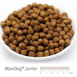 MaxiDog Junior