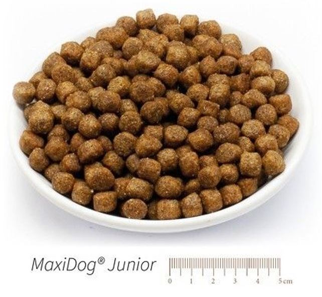 MaxiDog Junior