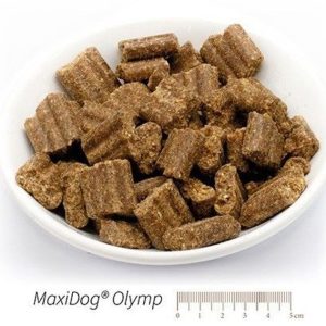 MaxiDog Olymp