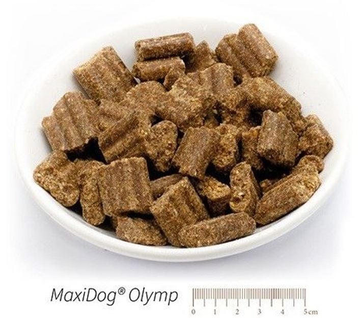 MaxiDog Olymp