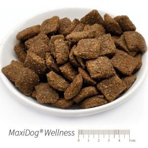 MaxiDog Wellness