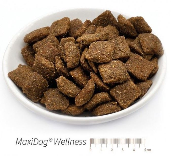 MaxiDog Wellness