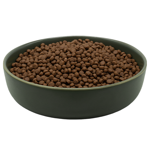 MAXiCAT Bocconcino Pollame Salmone