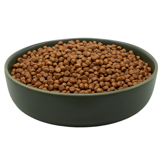 MAXiCAT Premium REiCO