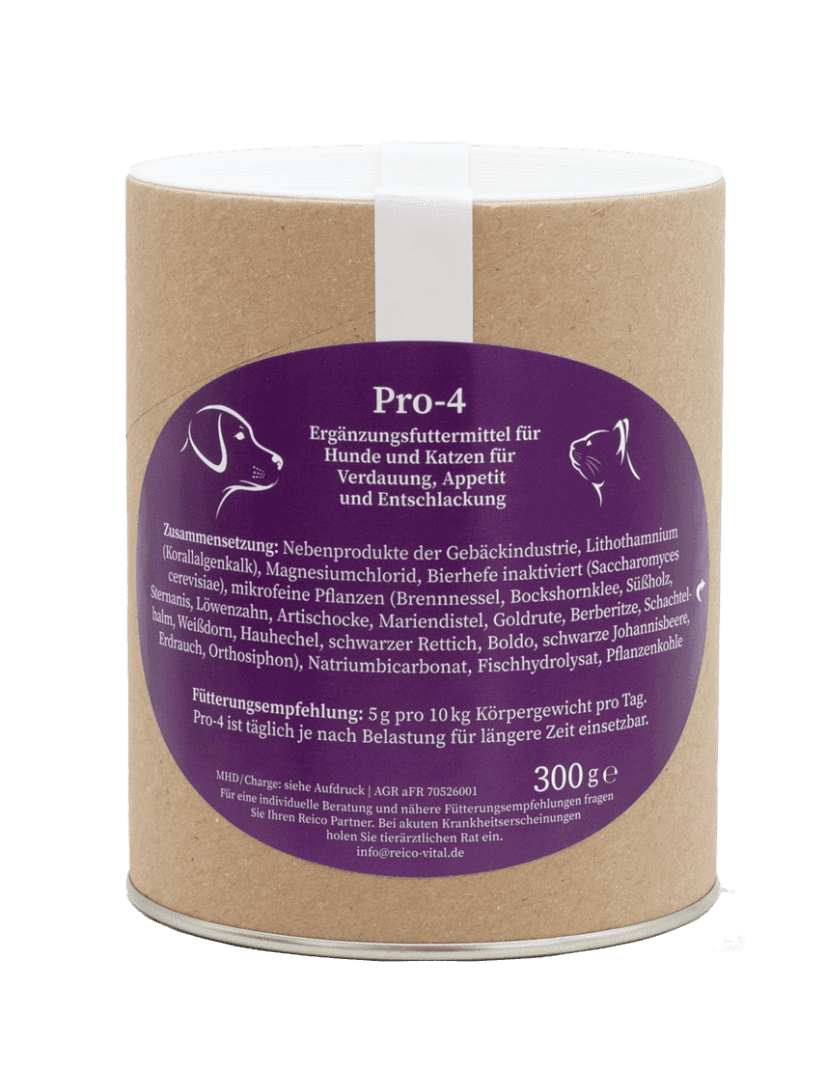 Naturkraft Pro-4 - 300g - per la disintossicazione
