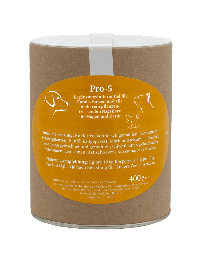 Naturkraft Pro-5 - per l'intestino