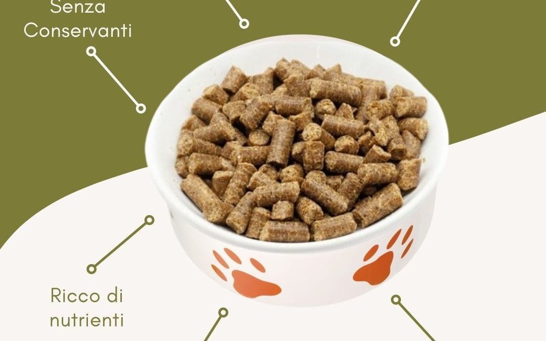 Le crocchette per cani nel mercato italiano e Reico a confronto!
