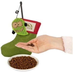 Pacchetto natalizio per gatto