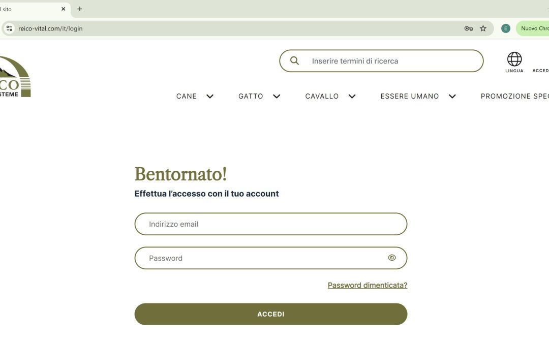 Come fare il login sul sito REiCO