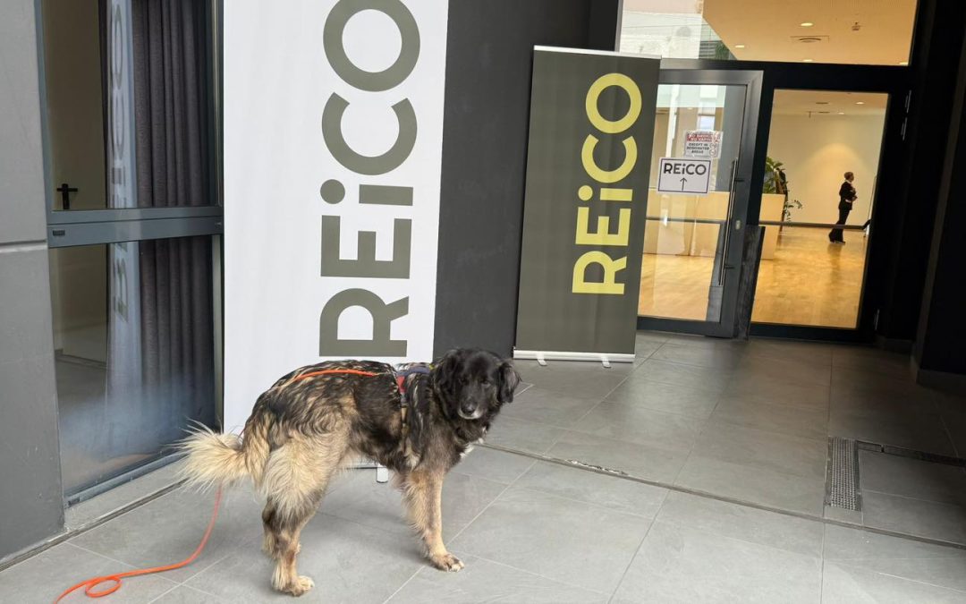 Vladimir di iomangionaturale presenta all'evento REiCO Italia