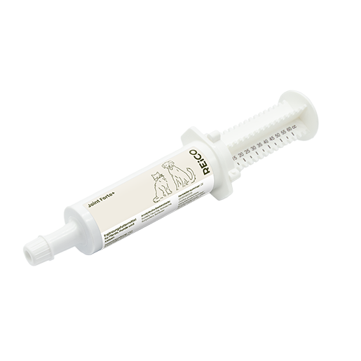 REiCO Joint Forte+ per cani e gatti