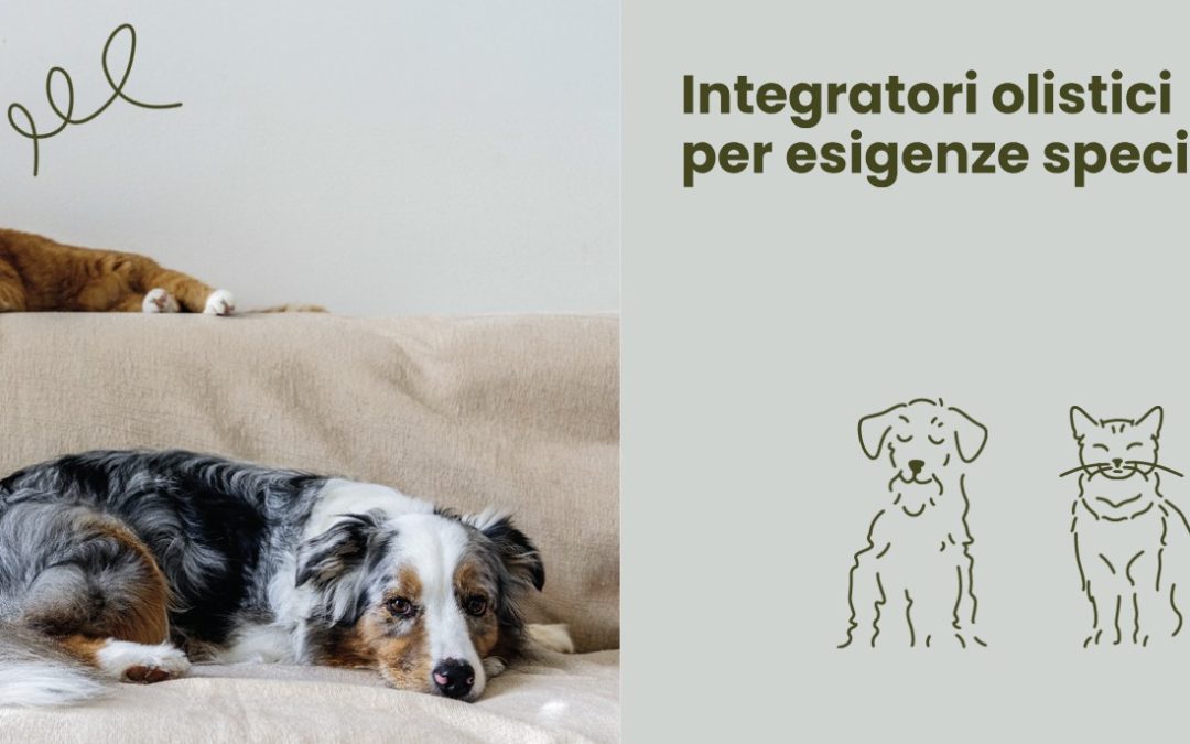 Novità nelle denominazioni degli integratori REiCO