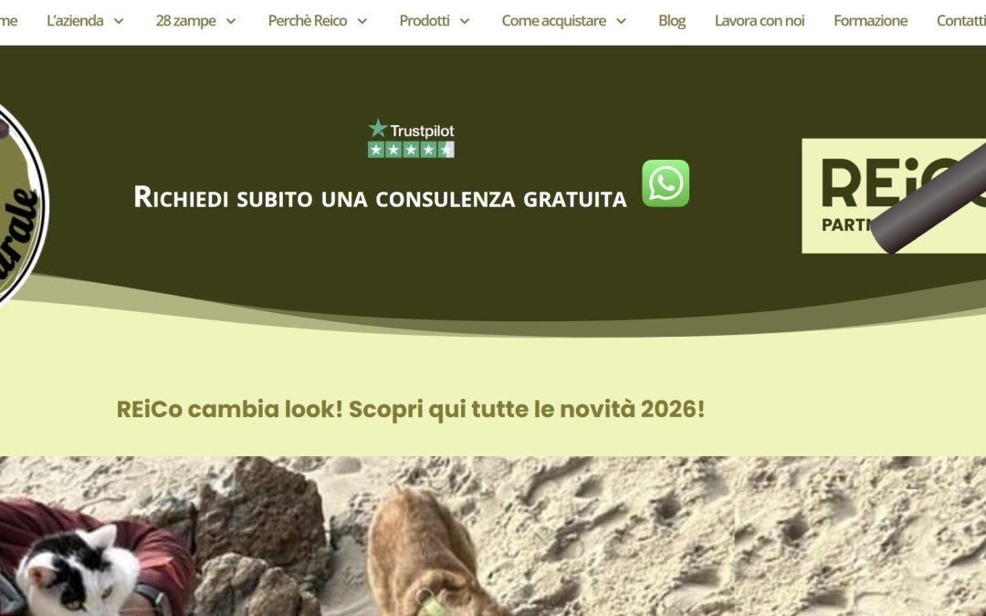 WCAG non solo una scelta tecnica, ma un impegno etico!