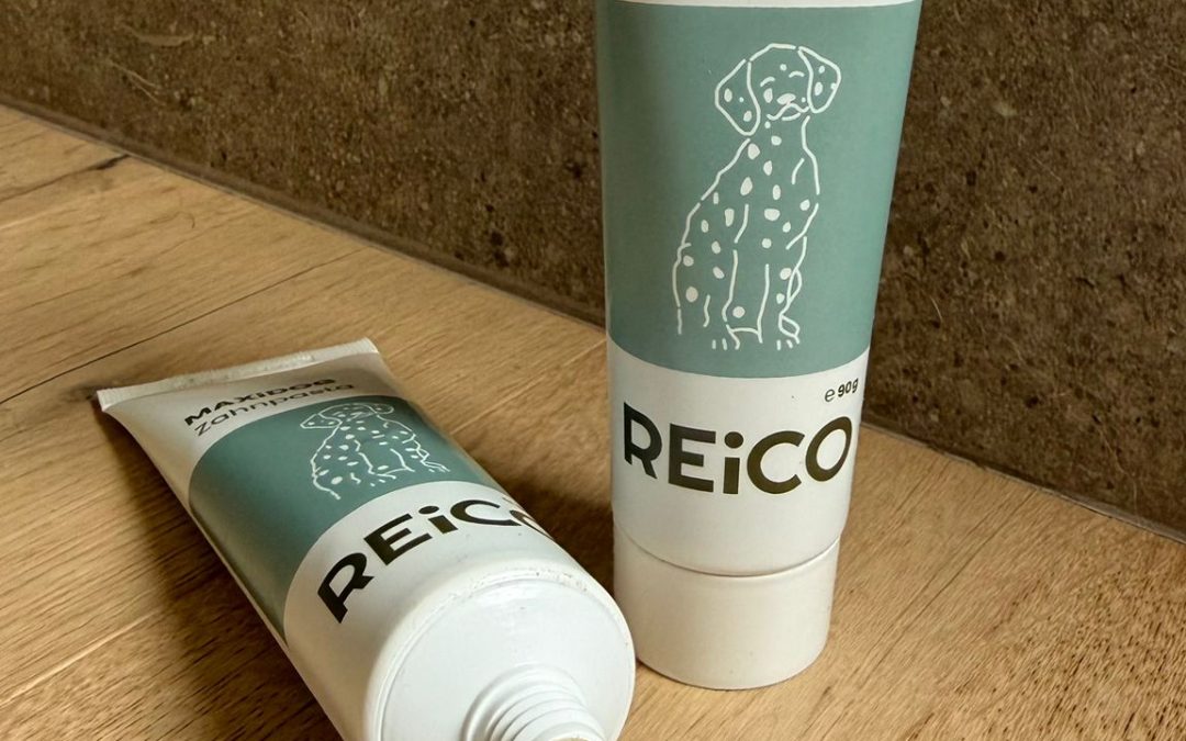 REiCO e salute dentale dei cani: il dentifricio commestibile!