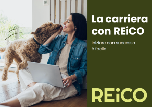 Lavorare con REiCO