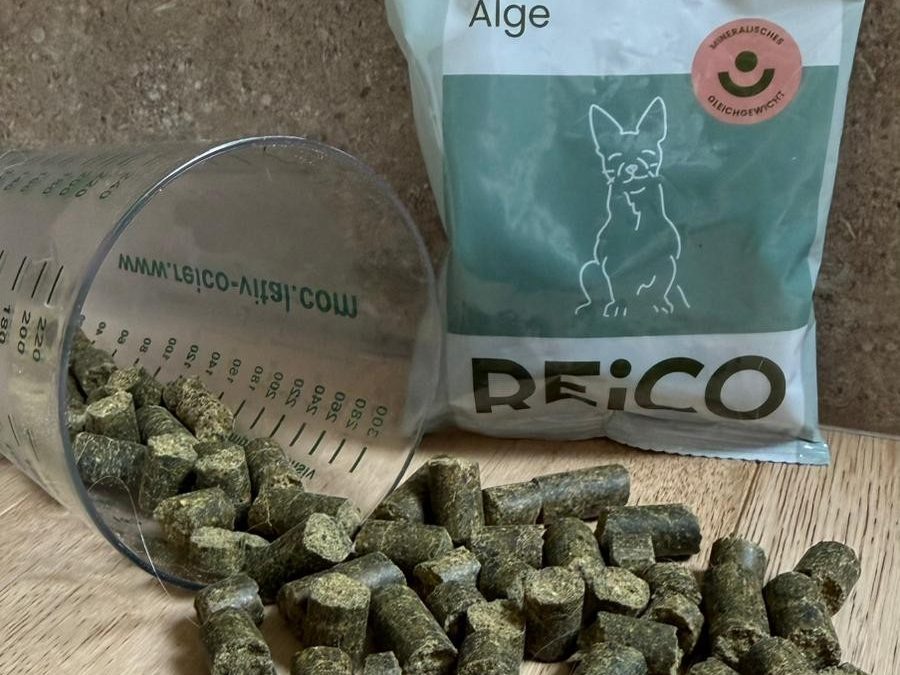 Innovazione REiCO nel cibo per cani!