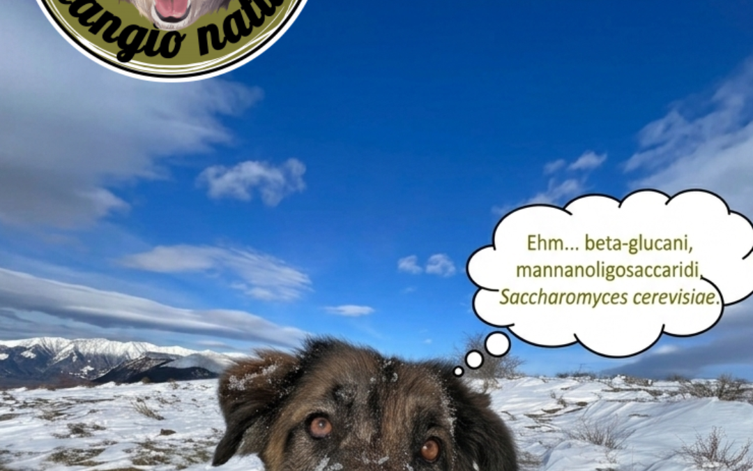 I lieviti fanno bene ai cani