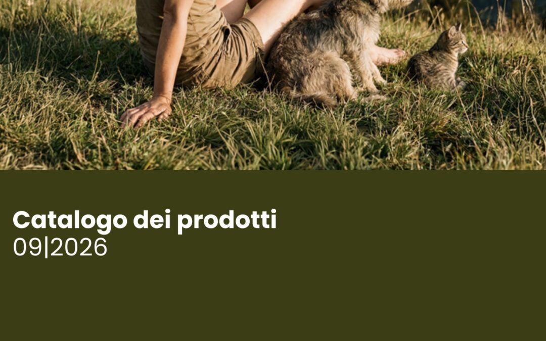 L’aggiornamento del Catalogo REiCO